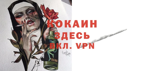 стаф Семилуки