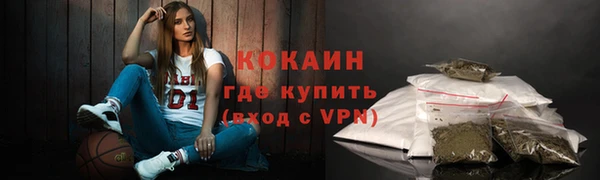 стаф Семилуки